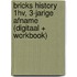 BRICKS History 1hv, 3-jarige afname (digitaal + workbook)