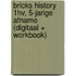 BRICKS History 1hv, 5-jarige afname (digitaal + workbook)