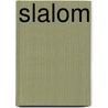 Slalom door Onbekend