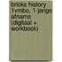 BRICKS History 1vmbo, 1-jarige afname (digitaal + workbook)