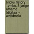 BRICKS History 1vmbo, 3-jarige afname (digitaal + workbook)
