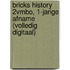 BRICKS History 2vmbo, 1-jarige afname (volledig digitaal)
