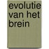 Evolutie van het brein