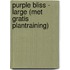 Purple Bliss - Large (met gratis plantraining)