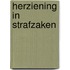 Herziening in strafzaken