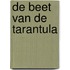 De beet van de Tarantula