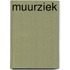 Muurziek