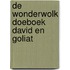 De Wonderwolk Doeboek David en Goliat