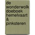 De Wonderwolk Doeboek Hemelvaart & Pinksteren