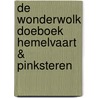 De Wonderwolk Doeboek Hemelvaart & Pinksteren door Aisha Meel