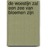 De woestijn zal een zee van bloemen zijn