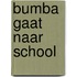 Bumba gaat naar school