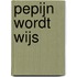 Pepijn wordt wijs