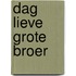 Dag lieve grote broer