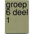 groep 6 deel 1