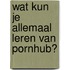Wat kun je allemaal leren van Pornhub?