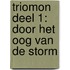 Triomon deel 1: Door het oog van de storm