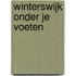 Winterswijk onder je voeten