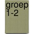 Groep 1-2