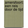 Amersfoort: Een reis door de tijd by David De Vries