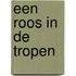 Een roos in de tropen