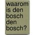 Waarom is Den Bosch Den Bosch?