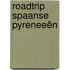 Roadtrip Spaanse Pyreneeën