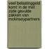 Veel belastinggeld komt in de met zijde gevulde zakken van McKinseypartners