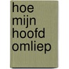 Hoe mijn hoofd omliep door Jan W. de Jong