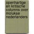 Openhartige en kritische columns over Molukse Nederlanders