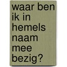Waar ben ik in hemels naam mee bezig? door Erick Versloot