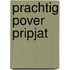 Prachtig pover Pripjat
