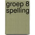 groep 8 spelling