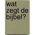 Wat zegt de Bijbel?