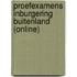 Proefexamens inburgering Buitenland (online)