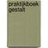Praktijkboek Gestalt