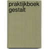 Praktijkboek Gestalt door Sjanneke Meijer