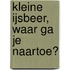Kleine IJsbeer, waar ga je naartoe?