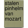 Stalen pinhelm van Mozart door Fred Brouwers