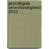 Praktijkgids arbeidsveiligheid 2023