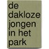De Dakloze Jongen In Het Park