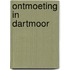 Ontmoeting in Dartmoor