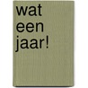 Wat een jaar! door Louise d'Anjou