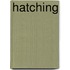 HATCHING