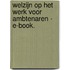 Welzijn op het werk voor ambtenaren - E-book.