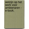 Welzijn op het werk voor ambtenaren - E-book. door Walter Appels