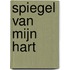 Spiegel van mijn hart