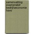 Samenvatting Examenstof Bedrijfseconomie HAVO