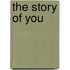The Story Of You