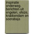 Inspiratie onderweg. Berichten uit Engelen, Efeze, Krabbendam en Soerabaja